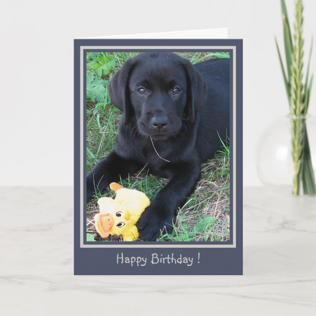 Carte Joyeux Anniversaire Black Lab Cute Chien Chien Chi (Devant)