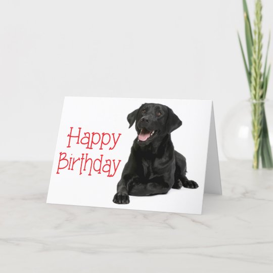 Carte Joyeux Anniversaire Black Labrador Puppy Dog Ver Zazzle Fr