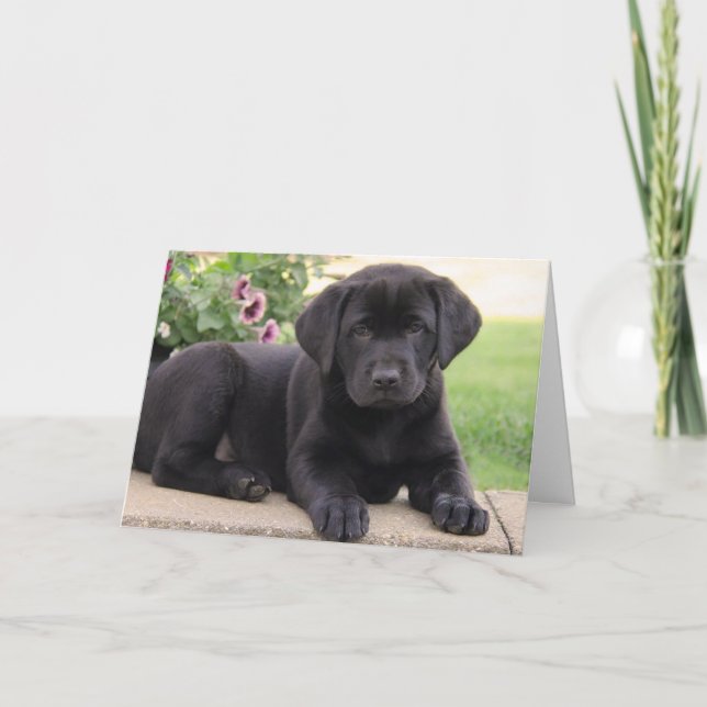 Carte Joyeux anniversaire Black Labrador Retriever Chien (Devant)