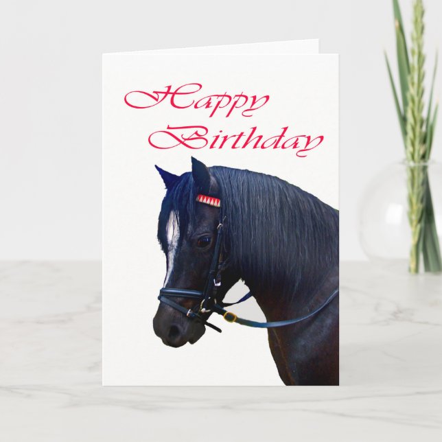 Carte Joyeux anniversaire, Black Welsh Pony. (Devant)