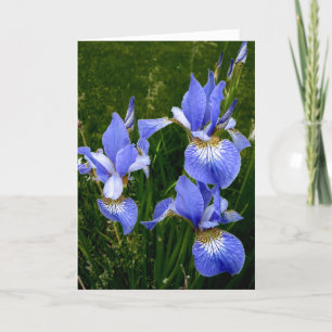 Carte Joyeux Anniversaire - bleu Iris-Dark