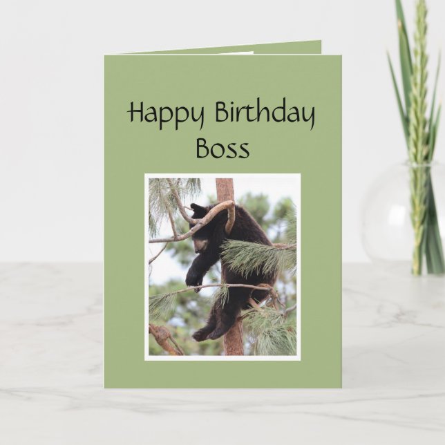 Carte Joyeux Anniversaire Boss Funny Ours Animal (Devant)
