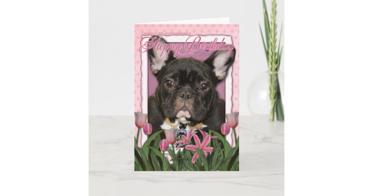 Carte Joyeux Anniversaire Bouledogue Francais Teal Zazzle Fr Carte Joyeux Anniversaire Bouledogue Francais Teal Zazzle Fr