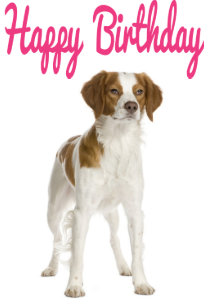 Invitations Faire Part Cartes Joyeux Anniversaire Bretagne Zazzle Fr Invitations Faire Part Cartes Joyeux Anniversaire Bretagne Zazzle Fr