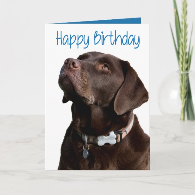 Carte Joyeux anniversaire Brown Labrador Retriever Puppy (Devant)