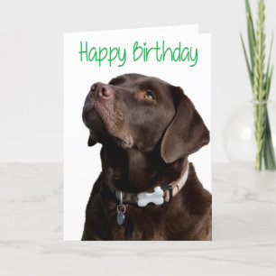 Carte Joyeux anniversaire Brown Labrador Retriever Puppy