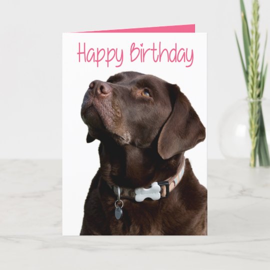 Carte Joyeux Anniversaire Brown Labrador Retriever Puppy Zazzle Fr