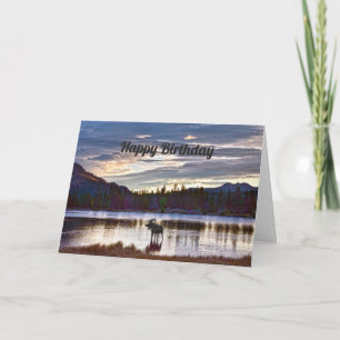 Carte Joyeux anniversaire, Bull Moose, Sprague Lake, Col