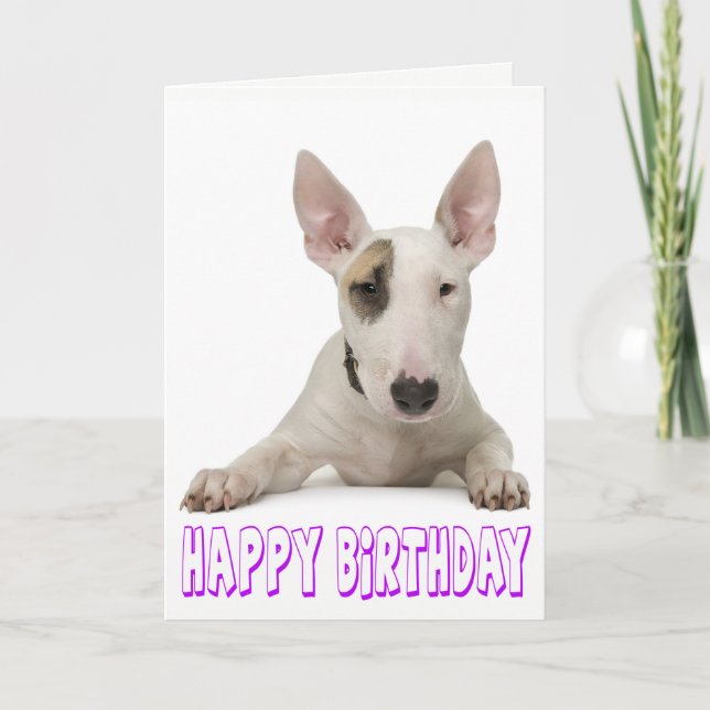 Carte Joyeux Anniversaire Bull Terrier Chien chiot (Devant)