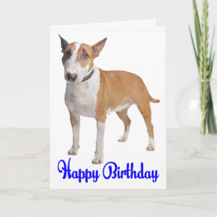 Carte Joyeux Anniversaire Bull Terrier Chien chiot