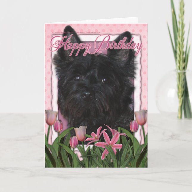 Carte Joyeux anniversaire - cairn Terrier - Rosco (Devant)