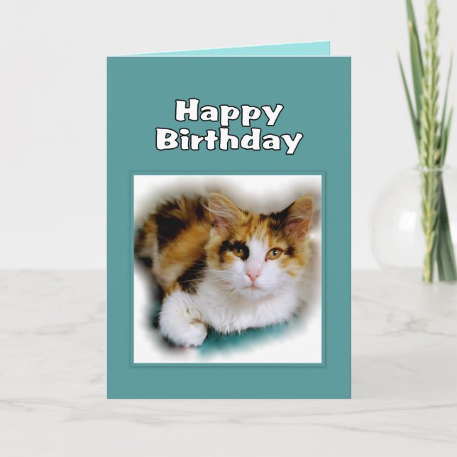 Carte Joyeux anniversaire Calico Cat (Devant)