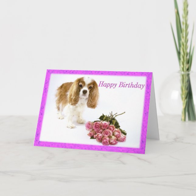 Carte Joyeux Anniversaire Cavalier King Charles Sp (Devant)