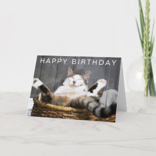 Carte Joyeux Anniversaire   Chat au Lit