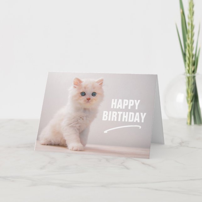 Carte Joyeux Anniversaire | Chat aux Yeux Bleus (Devant)