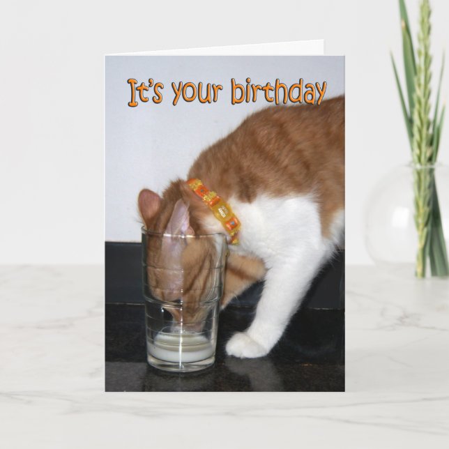 Carte Joyeux Anniversaire Chat Buvant dans un Verr (Devant)