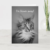 Joyeux Anniversaire Chat Étonné Avec Ruff Cou