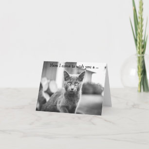 Carte Joyeux Anniversaire : Chat Gris