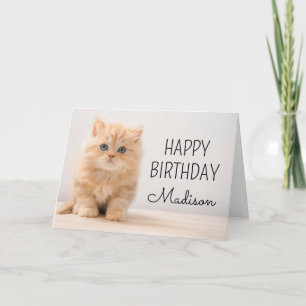Carte Joyeux Anniversaire   Chaton British Longhair