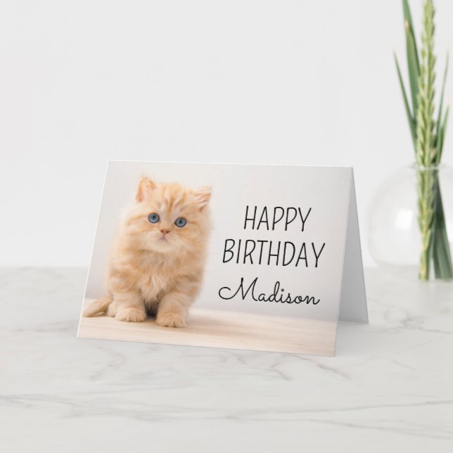 Carte Joyeux Anniversaire | Chaton British Longhair (Devant)