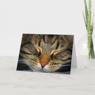 Carte Joyeux Anniversaire chaton chaton chaton chaton ch