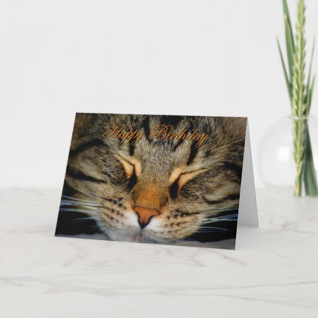 Carte Joyeux Anniversaire chaton chaton chaton chaton ch (Devant)