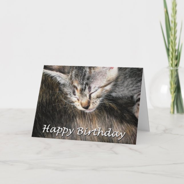 Carte Joyeux Anniversaire chaton et chat (Devant)