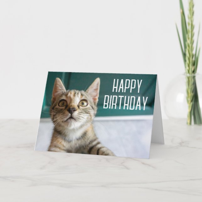 Carte Joyeux Anniversaire | Chaton Tabby Mignon (Devant)
