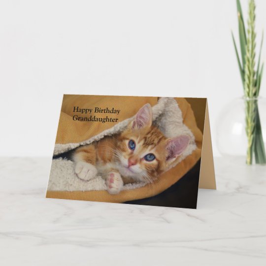 Carte Joyeux Anniversaire Chaton Tigre Orange Dans Le Zazzle Fr