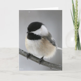 Carte Joyeux anniversaire Chicky Poo !