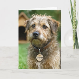 Carte Joyeux Anniversaire Chien