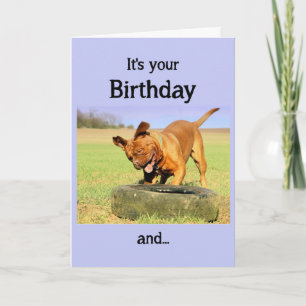 Carte Joyeux Anniversaire Chien Avoir du temps amusant