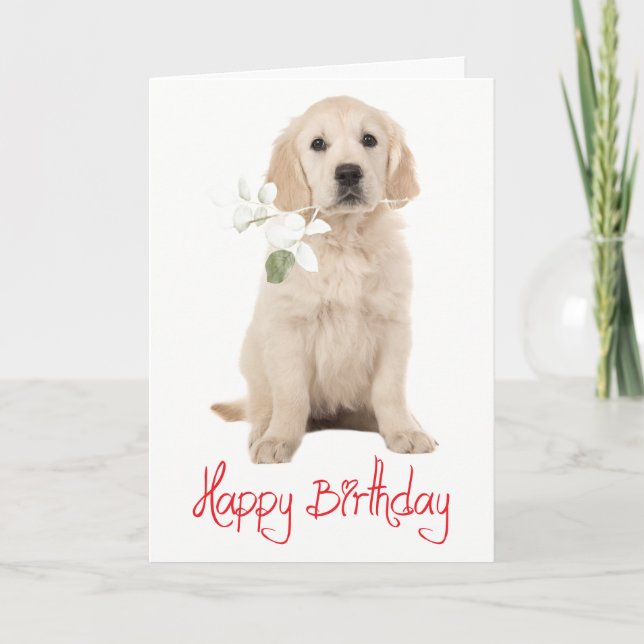 Carte  Joyeux Anniversaire Chien Chiot Fleur Retriever D (Devant)