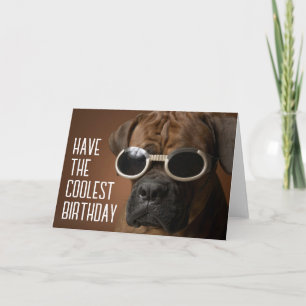 Carte Joyeux Anniversaire   Chien Lunettes de Soleil Coo