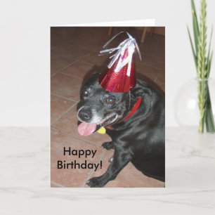 Carte Joyeux Anniversaire Chien noir avec Casquette roug