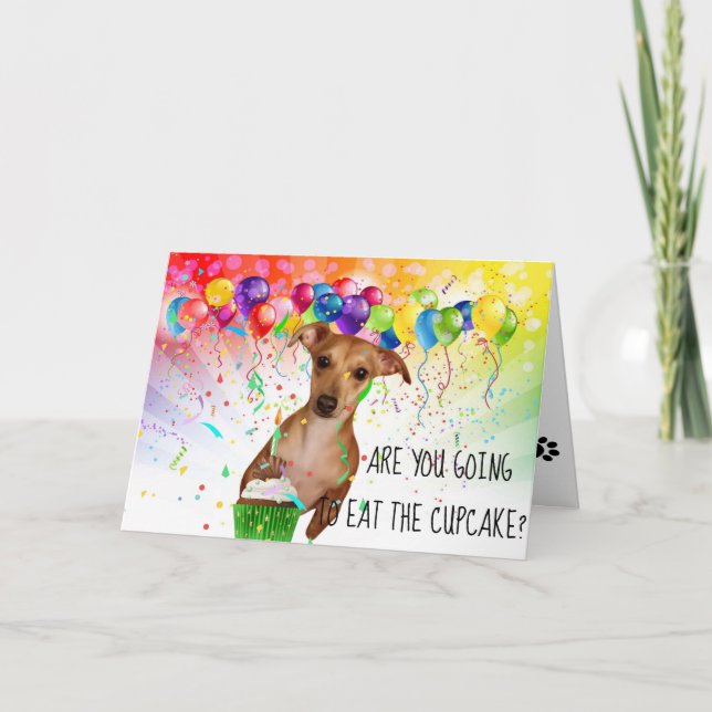 Carte Joyeux anniversaire Chihuahua avec Cupcake (Devant)