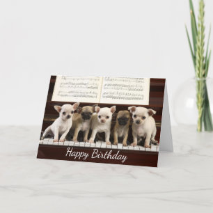 Carte Joyeux Anniversaire Chihuahua Chiot ( Chewawa )