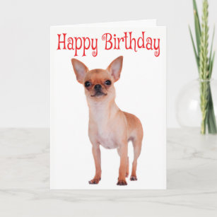 Cartes Chiwawa D Anniversaire Zazzle Fr