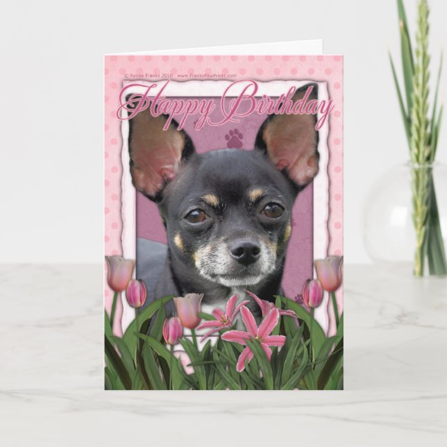Carte Joyeux anniversaire - Chihuahua - Isabella (Devant)