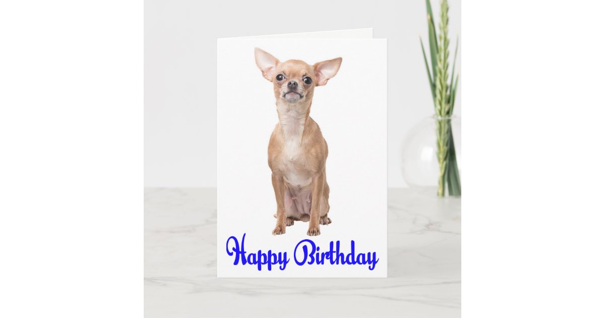 Carte Joyeux Anniversaire Chihuahua Puppy Blue Verse Zazzle Fr