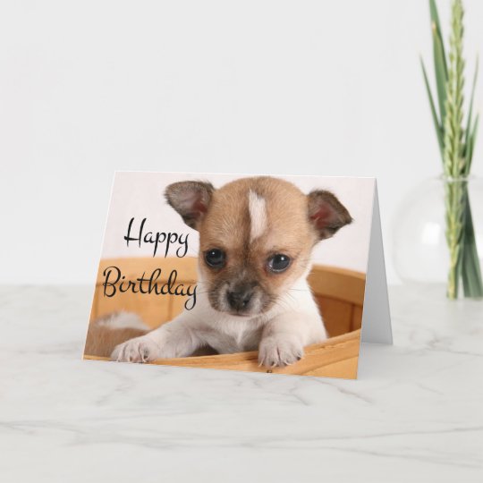 Carte Joyeux Anniversaire Chihuahua Puppy Dog Verse Zazzle Fr