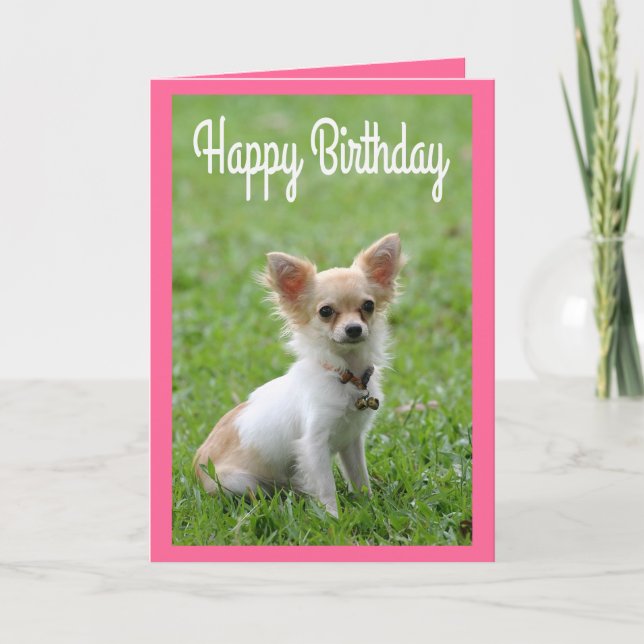 Carte Joyeux anniversaire Chihuahua Puppy Puppy (Devant)