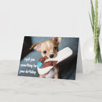 Joyeux Anniversaire Chiot Chihuahua Mignon de Chie