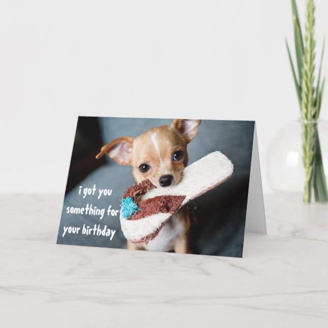 Carte Joyeux Anniversaire Chiot Chihuahua Mignon de Chie (Devant)
