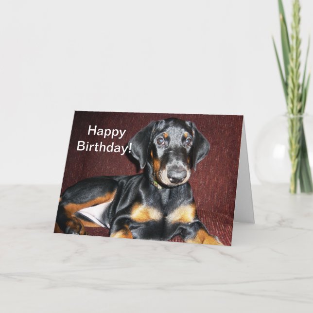 Carte Joyeux anniversaire - chiot de Pinscher de (Devant)