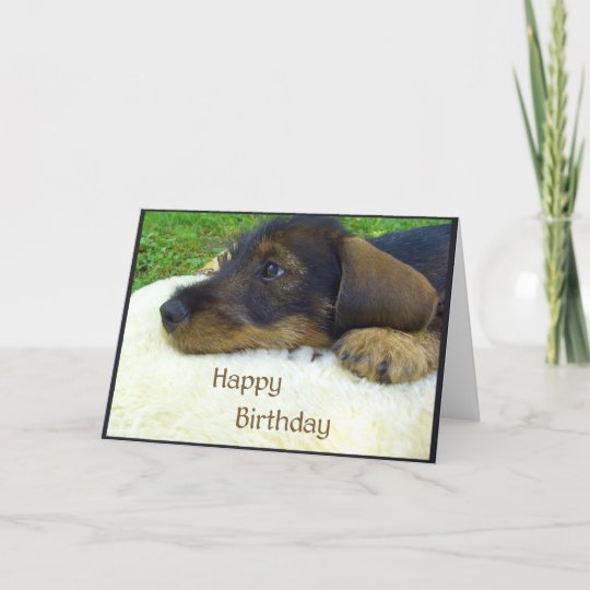 Carte Joyeux Anniversaire Chiot Mignon De Teckel Zazzle Fr