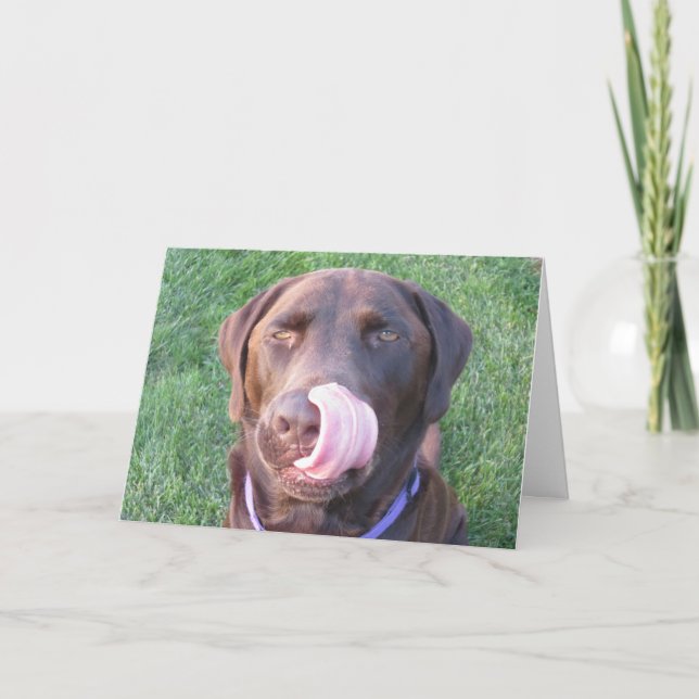 Carte Joyeux Anniversaire Chocolate Lab Cute & Funny Car (Devant)