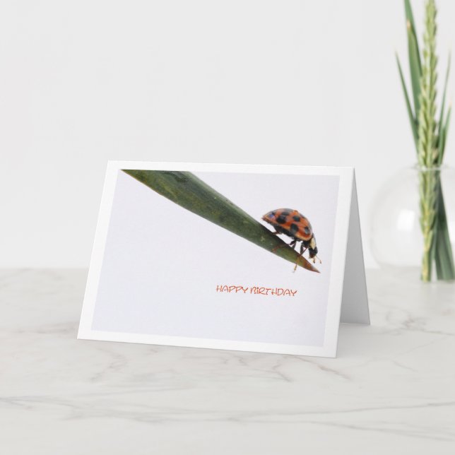 Carte Joyeux Anniversaire Coccinelle (Devant)