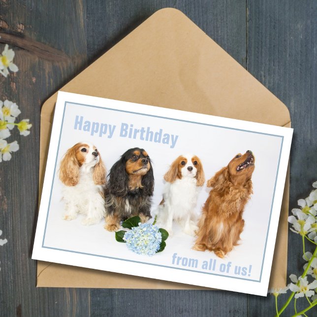 Carte Joyeux Anniversaire Collègue Cavalier King Charles (Créateur téléchargé)