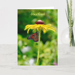 Carte Joyeux anniversaire : Cool de séjour